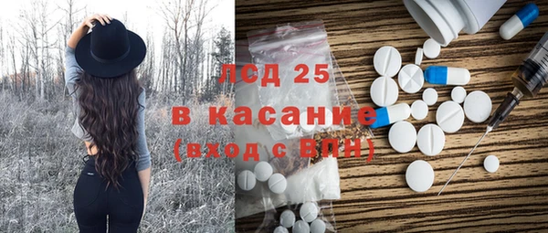 индика Балахна