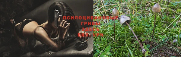 индика Балахна