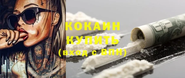 индика Аркадак