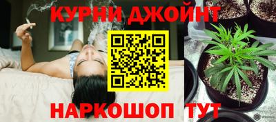 стафф Пенза