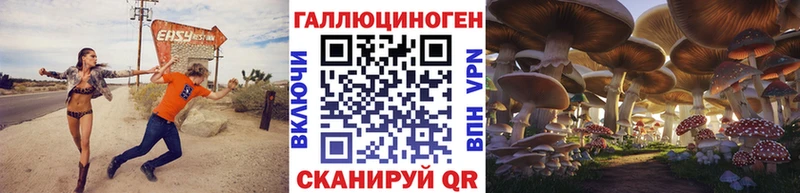 Галлюциногенные грибы MAGIC MUSHROOMS  где купить   Чернушка 