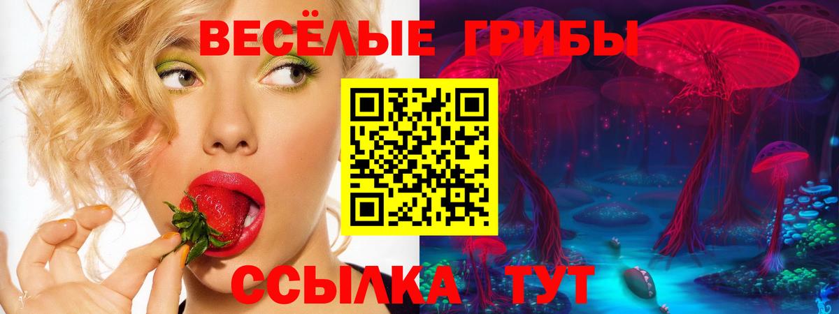Псилоцибиновые грибы прущие грибы Чернушка
