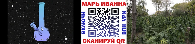 нарко площадка наркотические препараты  Чернушка  blacksprut зеркало  Каннабис Amnesia  купить наркотики сайты 