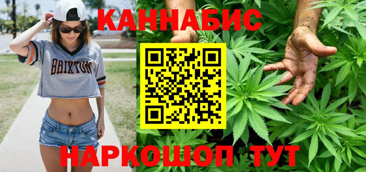 Каннабис конопля Чернушка